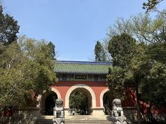 -灵谷景区