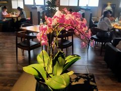 -JINNS锦时 steak&pizza(浸信会礼拜堂旧址店)