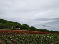 -富田农场