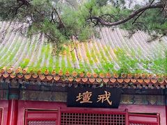 -玉兰茶楼
