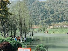 -云漫湖生态度假公园