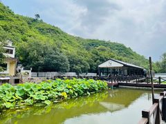 -荷塘味道(水长城店)