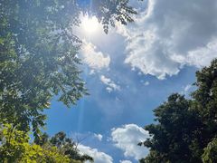 -阳台山自然风景区