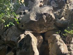 -上海市皮肤病医院(武夷路院区)