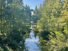 -黄海国家森林公园