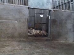 -泉州海丝野生动物世界