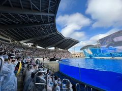 -上海海昌海洋公园