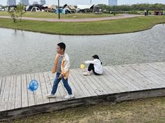 -春花秋色城市公园