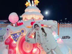 -沈阳奥体冰雪嘉年华