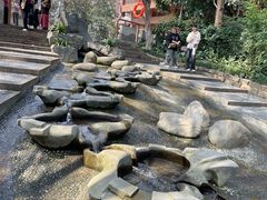 -成都市活水公园