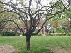 -西湖公园(鼓楼区)