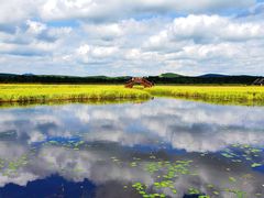 -塞罕坝国家级自然保护区