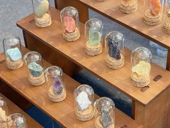 -天津梅江会展中心