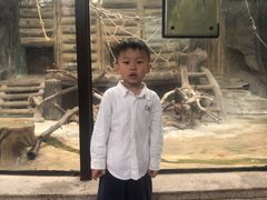 -灵玲国际马戏城