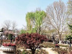 -睦南公园