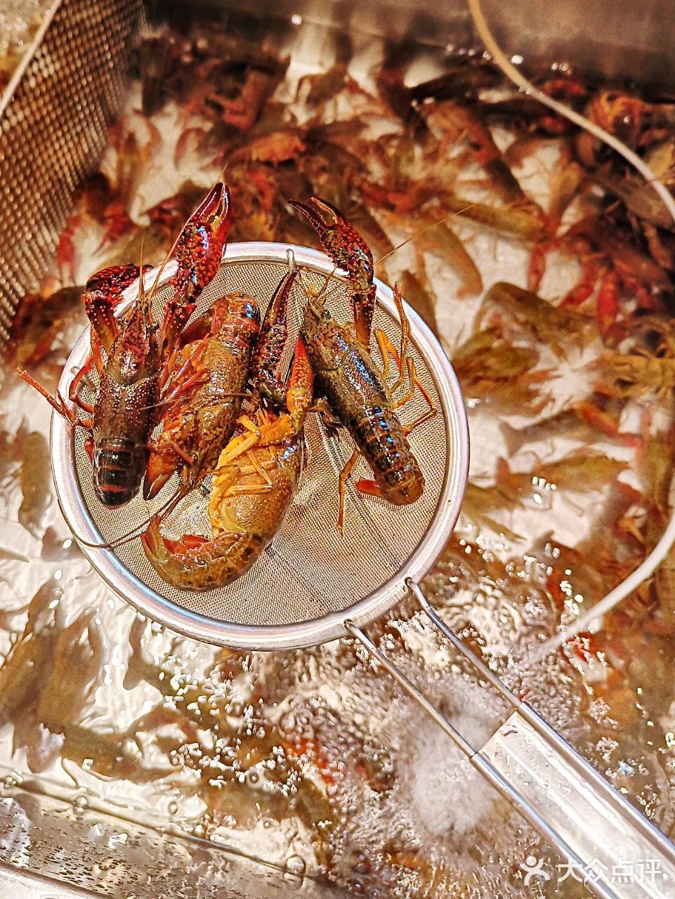 江门探店｜我凭一己之力干掉了两斤小龙虾🦞