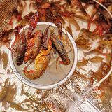 江门探店｜我凭一己之力干掉了两斤小龙虾🦞