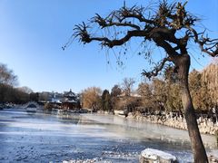 -莲池书院博物馆