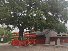 -丰台药王庙