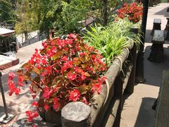 -楠柏弯休闲山庄(梨花溪店)