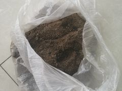 -中环花鸟鱼虫市场