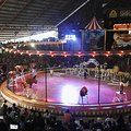 -是拉差龙虎园(Permanently closed)