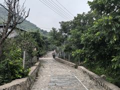 -大岭沟猕猴桃谷风景区