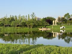 -洋湖国家湿地公园