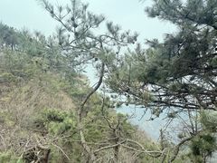 -沂蒙山旅游区龟蒙景区