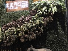 -桥岚·巷子鲜河豚鱼(专门店)