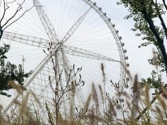 -祥源·阜阳生态乐园