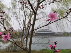 -杭州城北体育公园