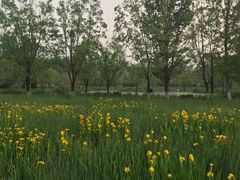 -奥林匹克森林公园南门-停车场