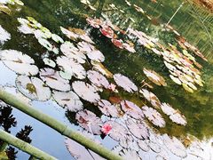 -深圳龙潭公园