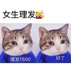 -美梵日系沙龙