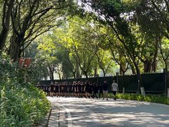 -广州市白云山风景名胜区