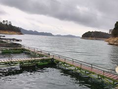 -千岛湖东南湖区