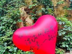 -将军关探险漂流