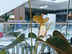 -眉州东坡(华联万柳店)