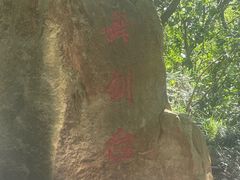 -上海佘山国家森林公园天马山园