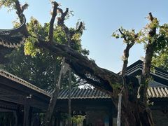 -宝墨园景区