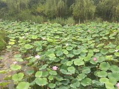 -嬉乐湾休闲旅游区