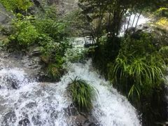 -藏龙百瀑风景区