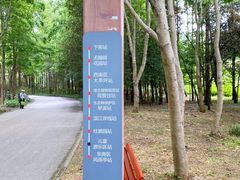 -上海滨江森林公园