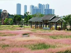 -王借岗森林公园