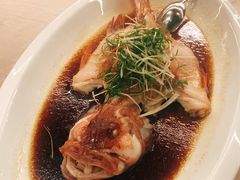 原条清蒸深海星班-金汇酒楼(中山东区店)