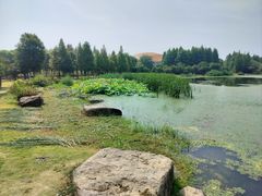 -滆湖低碳生态公园