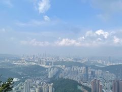 -梧桐山风景名胜区