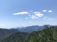 -大岭沟猕猴桃谷风景区