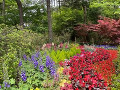 -庐山风景区花径公园